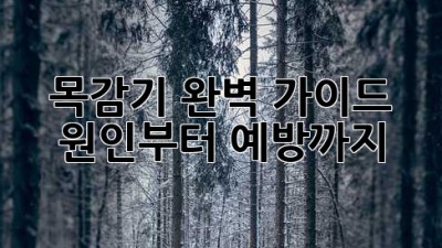 🤧 목감기 완벽 가이드: 원인부터 예방까지! 💯