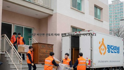 서천군 비인면 선도리 이사 🏡 완벽 가이드: 안전 이사 A to Z