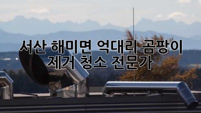 서산 해미면 억대리 곰팡이 제거 청소 전문가